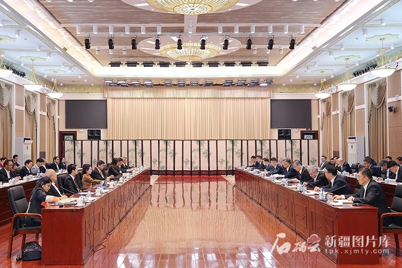 马兴瑞会见出席中国（新疆）—东盟经贸交流会的中外嘉宾