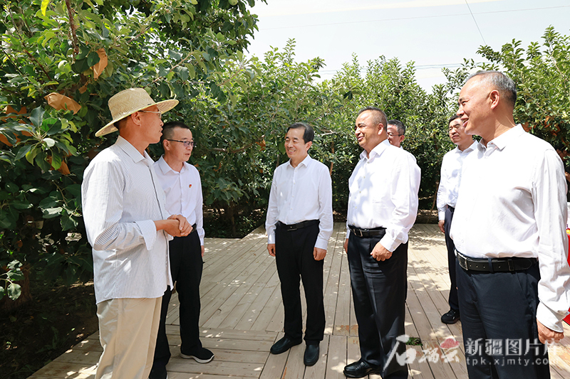 陈小江艾尔肯·吐尼亚孜深入和田阿克苏和兵团有关师市调研