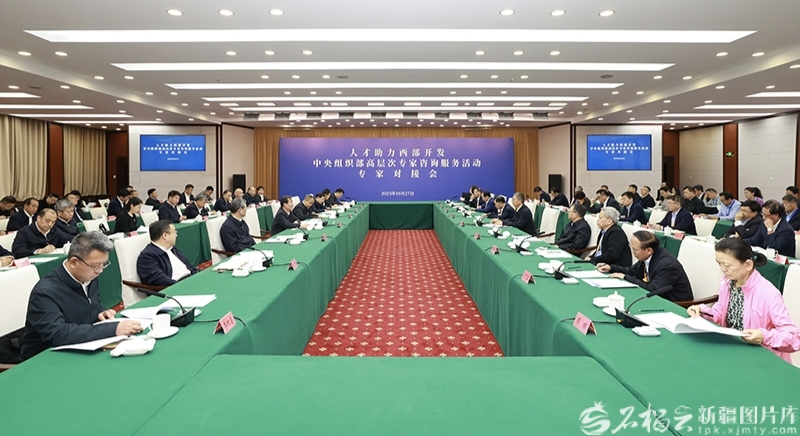 中央组织部高层次专家咨询服务活动专家对接会召开