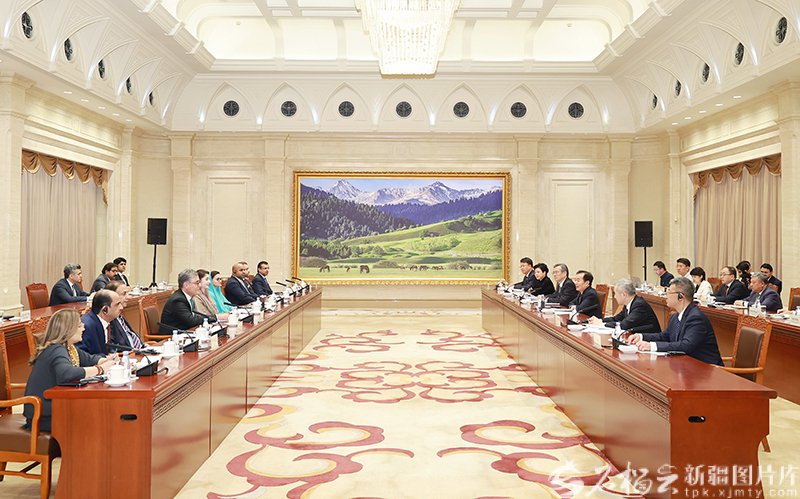 陈小江会见巴基斯坦旁遮普省首席部长玛丽亚姆