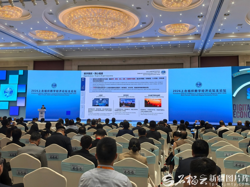 《中国—上合组织国家数字经济合作典型案例集（2026）》发布